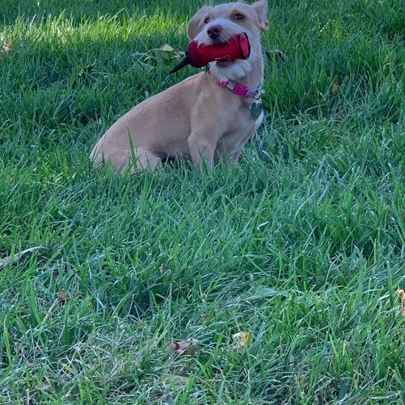 Meet your Posher, Michelle - Picture 3 of 15